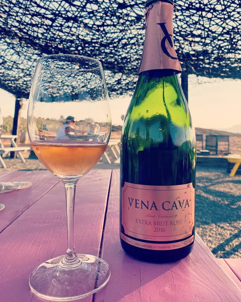 Botella de Vena Cava Extra Brut Rosé 2016, con las leyendas «Método Tradicional» y «Hecho en Valle de Guadalupe, México», junto a una copa de vino rosado color salmón, sobre una mesa de madera pintada de rosa y bajo un techo de ramas entretejidas.