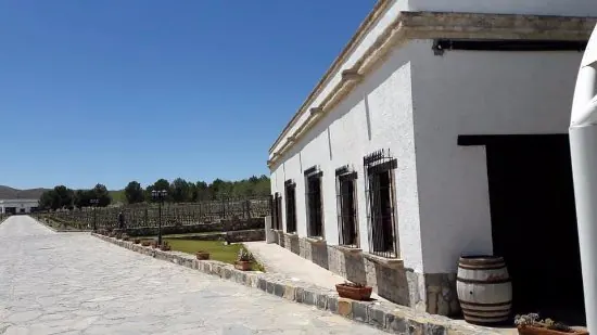 View of Bodega RGMX
