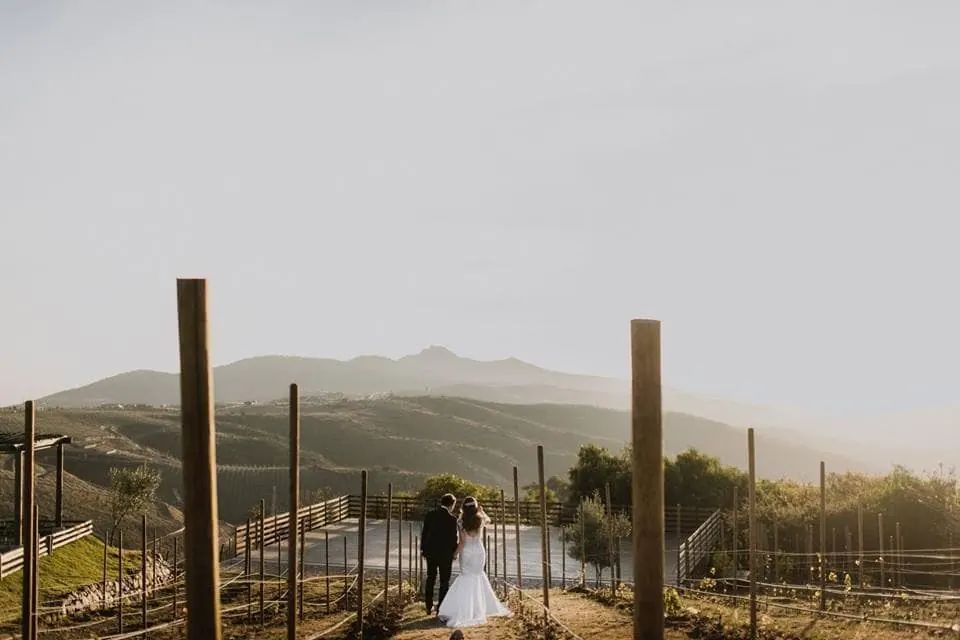 Camino de Vinos: boda en el viñedo