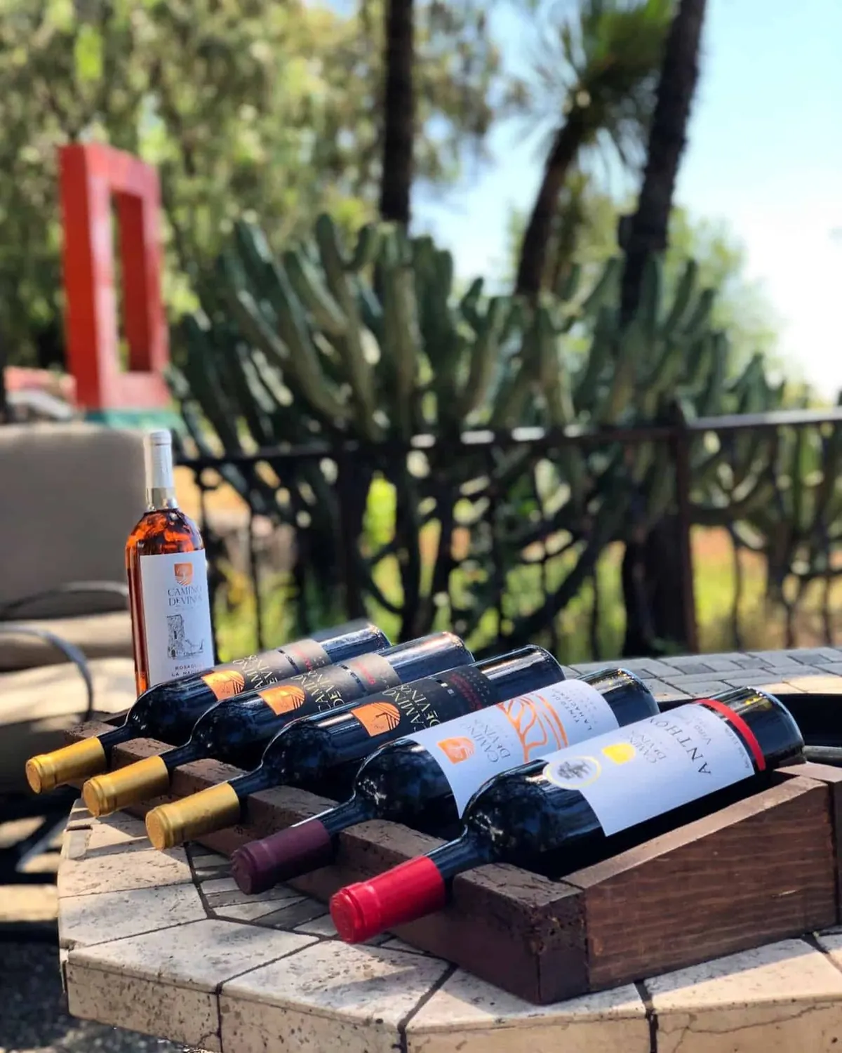 Camino de Vinos: línea de botellas