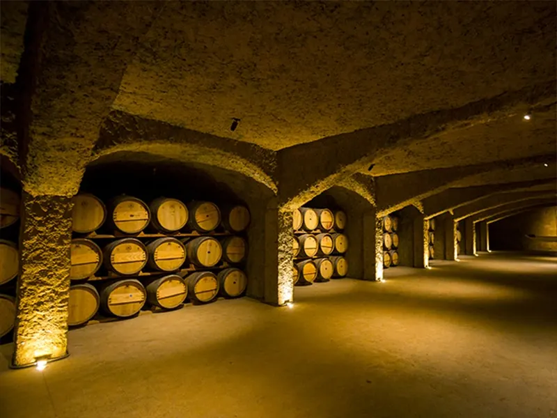 Casa Pedro Domecq: cava subterránea con barricas