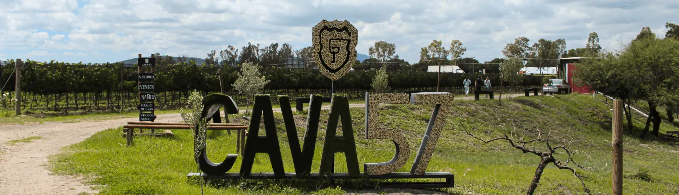 Cava 57: letras de la cava frente al viñedo