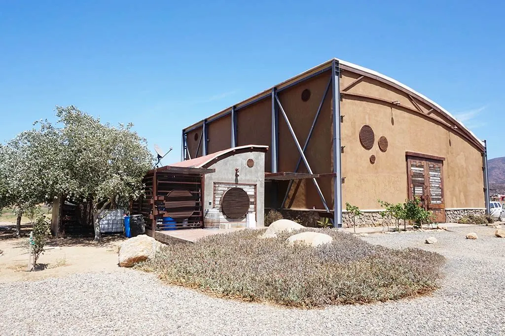 Concierto Enológico: bodega entre olivos y lavanda