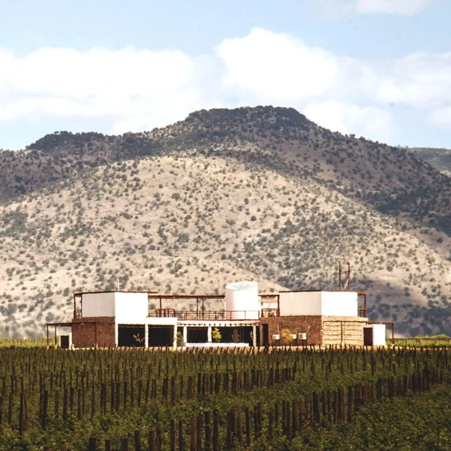 Cuatro Sierras: bodega al pie del cerro entre el viñedo