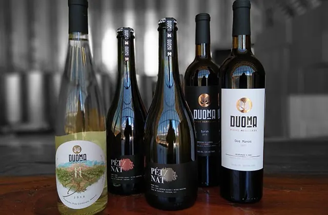 View of DuoMa Vinos Mexicanos