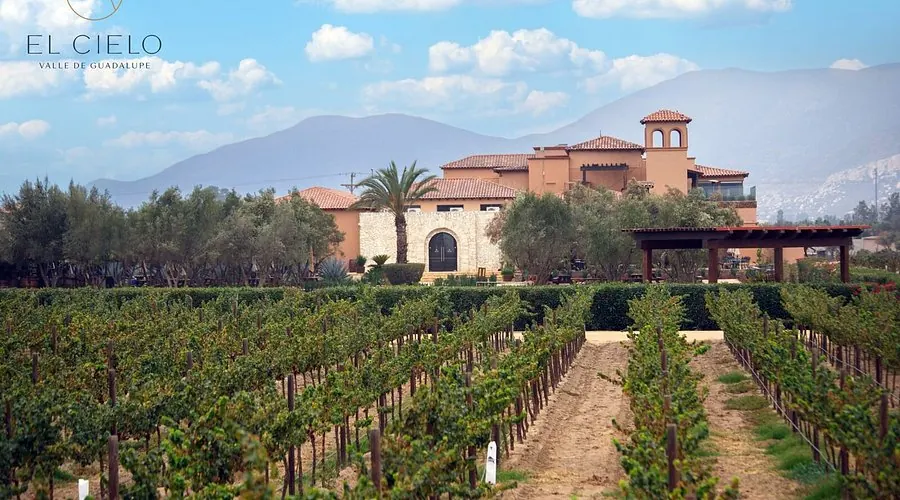 El Cielo Valle de Guadalupe: casa de la vinícola sobre las hileras