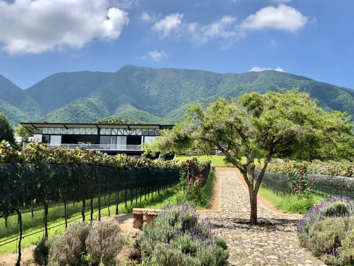 View of Finca La Estramancia