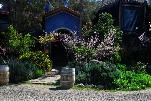 Viñedos Mina Penélope: casa azul entre jardines y barricas