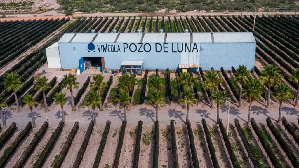 Pozo de Luna: vista aérea de la bodega entre el viñedo