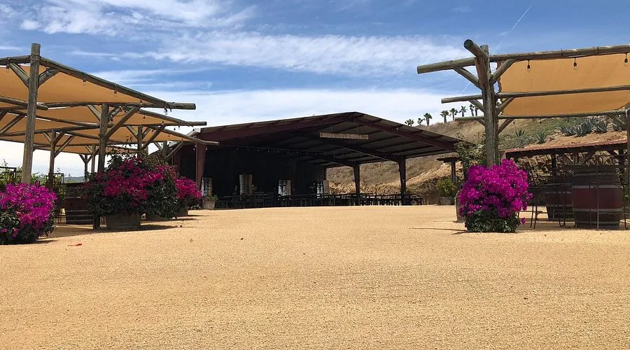 Viñas de la ERRE: palapa y terraza de cata
