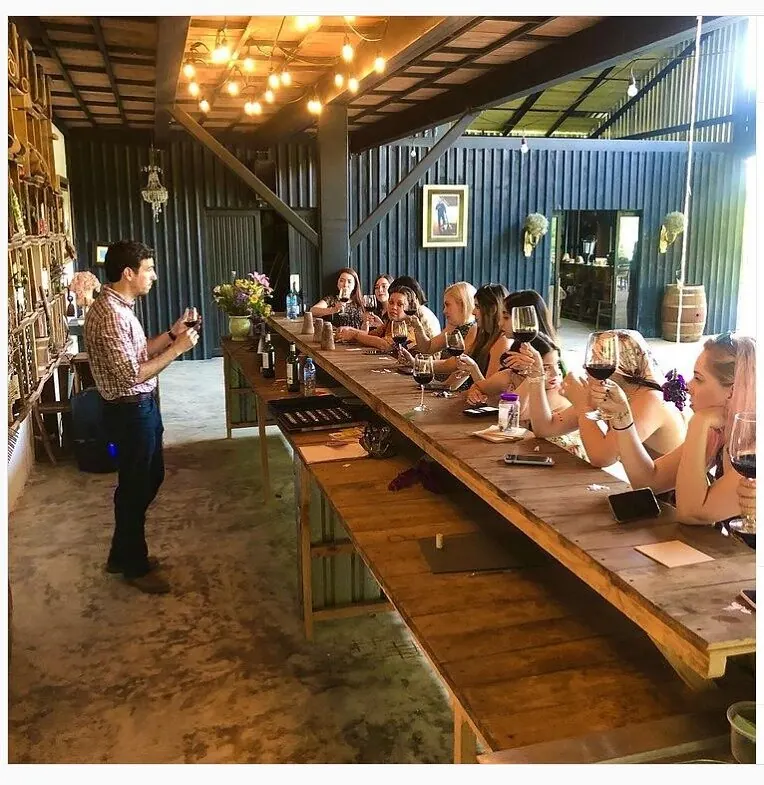 Viñedo Garza Moschen: salón de catas de la vinícola