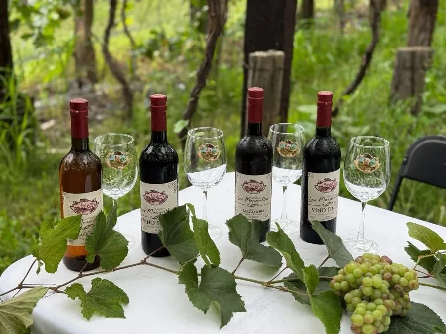 Viñedo Las Maravillas: botellas y copas