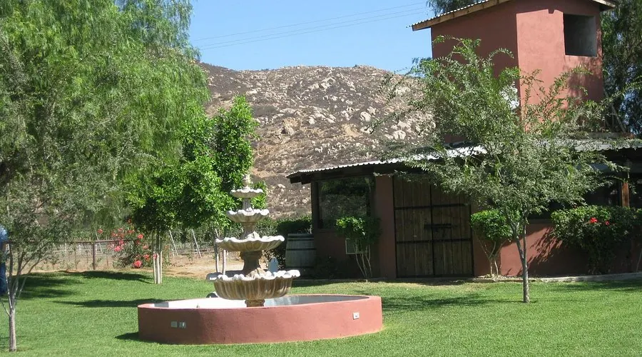 Viñedos Malagón: fuente y casona al pie del cerro