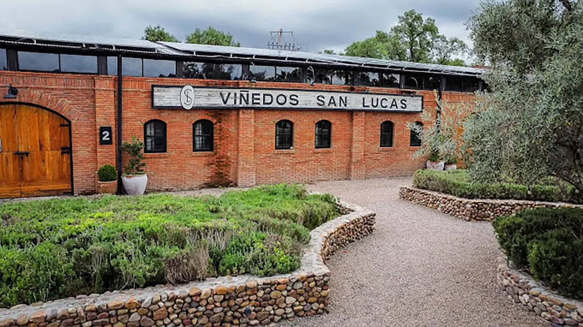 View of Viñedos San Lucas
