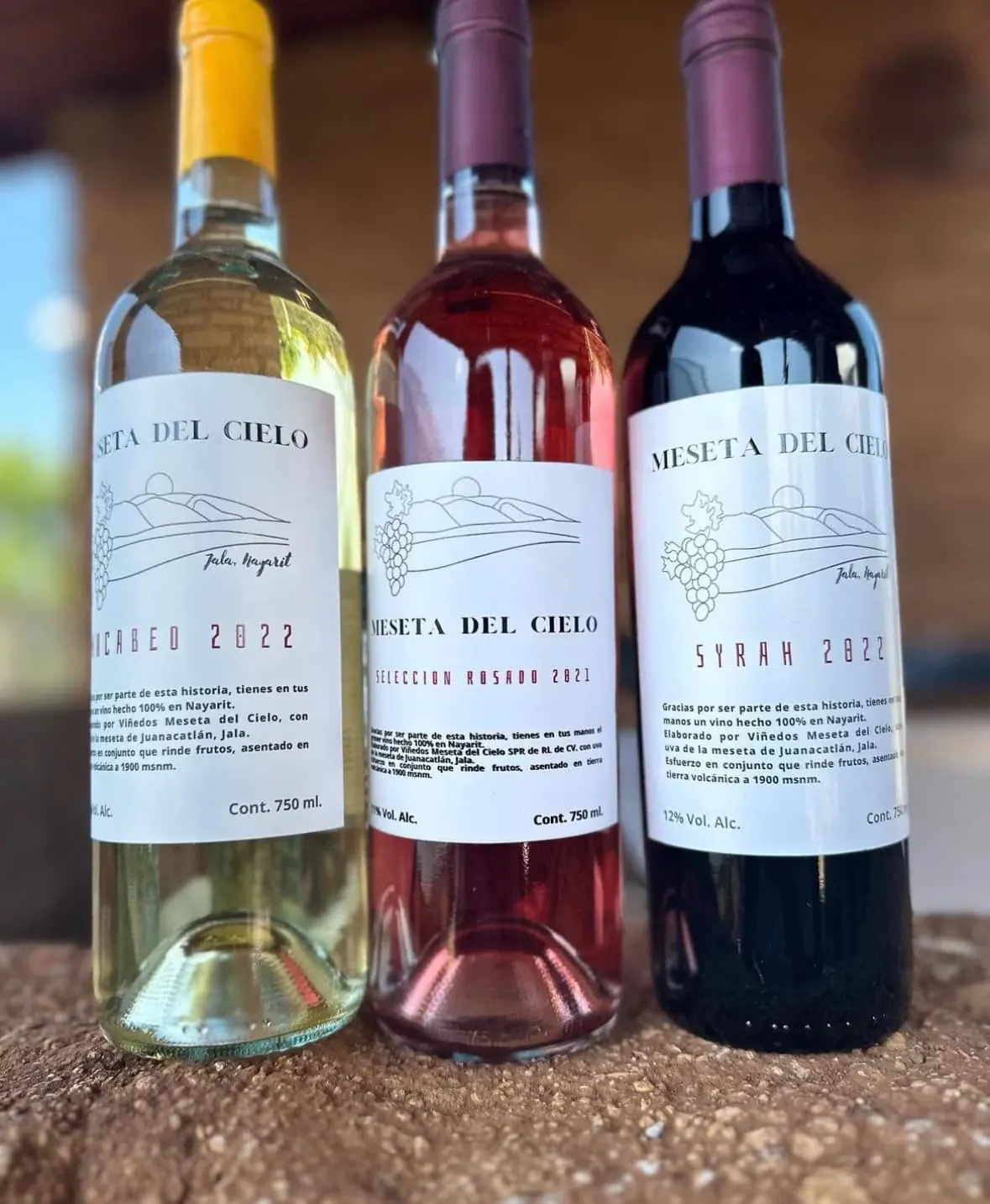 Viñedo Meseta del Cielo: etiquetas del primer viñedo de Nayarit