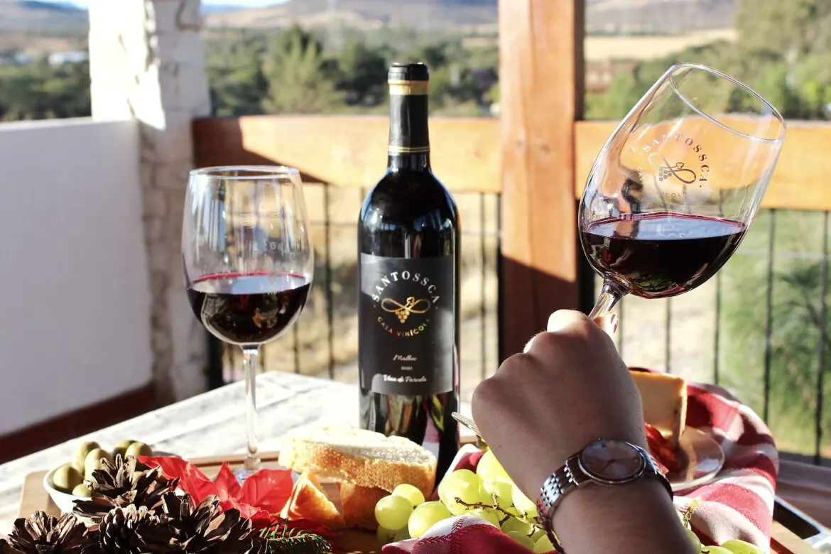 Vinícola Santossca: cata en la terraza con vista al valle