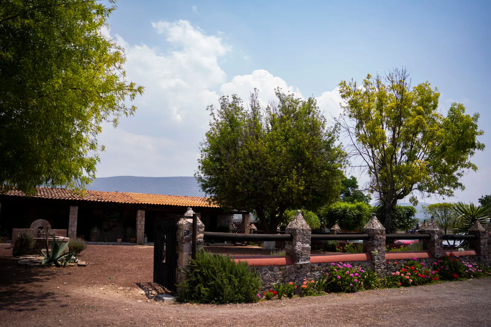Vinos del Marqués: casona y jardines de la vinícola