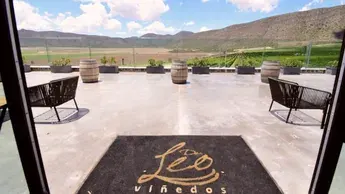 View of Viñedos Don Leo