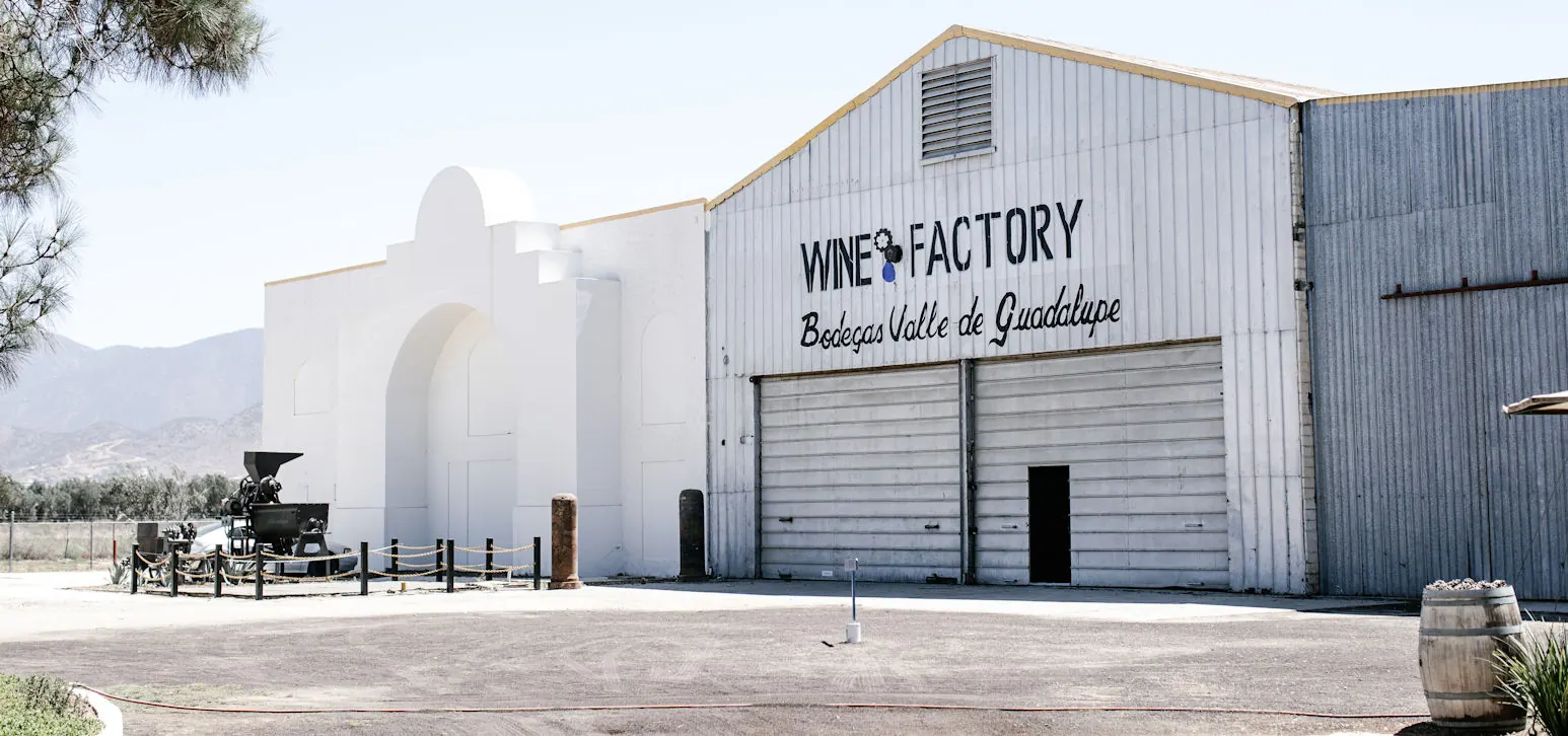 Wine Factory: nave industrial de la bodega