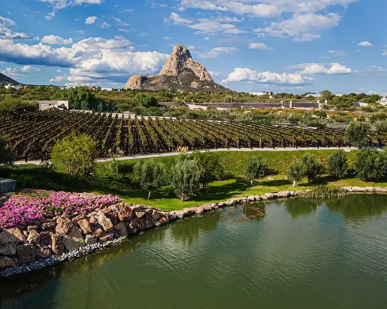 Viñedo y lago con la Peña de Bernal, en Puertas de la Peña