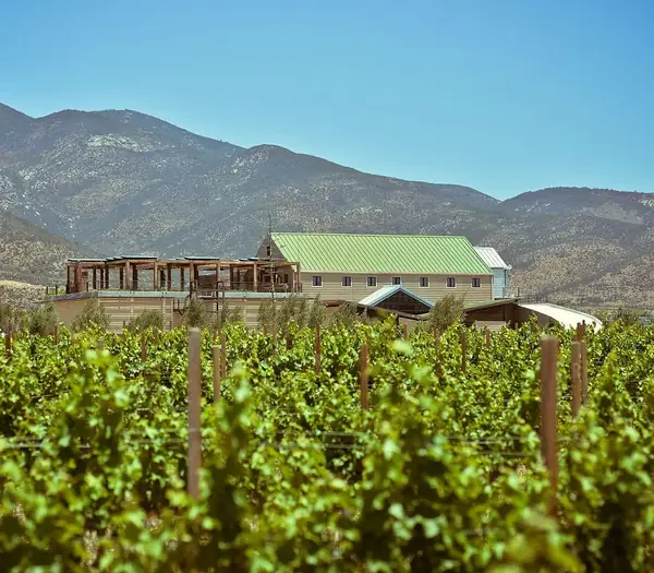 Hileras de vid en primer plano y, al fondo, la bodega de Finca La Carrodilla bajo los cerros del Valle de Guadalupe