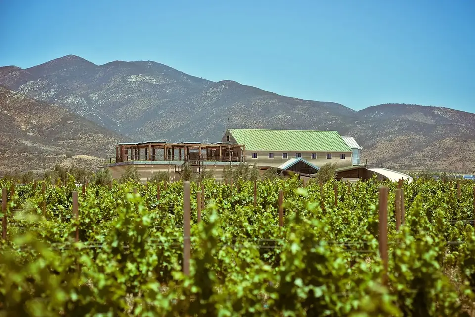 Hileras de vid en primer plano y, al fondo, la bodega de Finca La Carrodilla bajo los cerros del Valle de Guadalupe