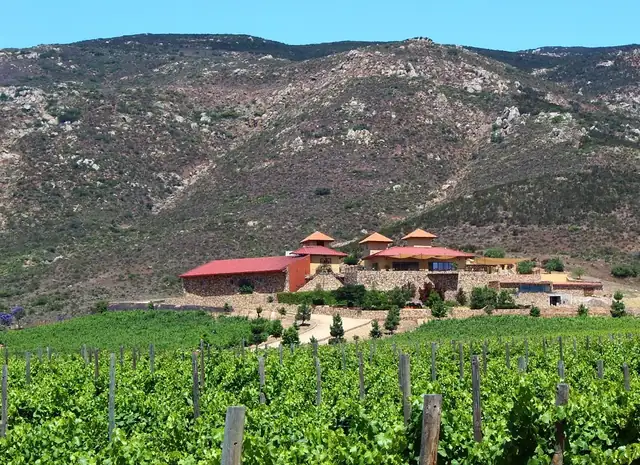 Viñedo y bodega de Las Nubes en una ladera del Valle de Guadalupe