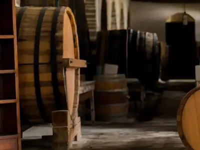 Cava subterránea con barricas, en Bodegas Ferriño