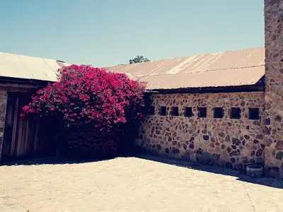Patio con buganvilia junto a la bodega, en Casa de Piedra