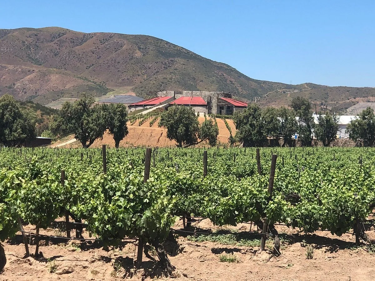 Vista de Bodegas de Santo Tomás