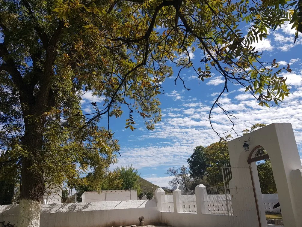 Barda blanca con pilares y rejas y un arco encalado con un farol, bajo las ramas de un árbol frondoso de hojas amarillentas cuyo tronco está pintado de blanco en la base, con un cerro y un cielo azul con nubes al fondo, en la Hacienda de San Lorenzo, de Casa Madero, en Parras, Coahuila.