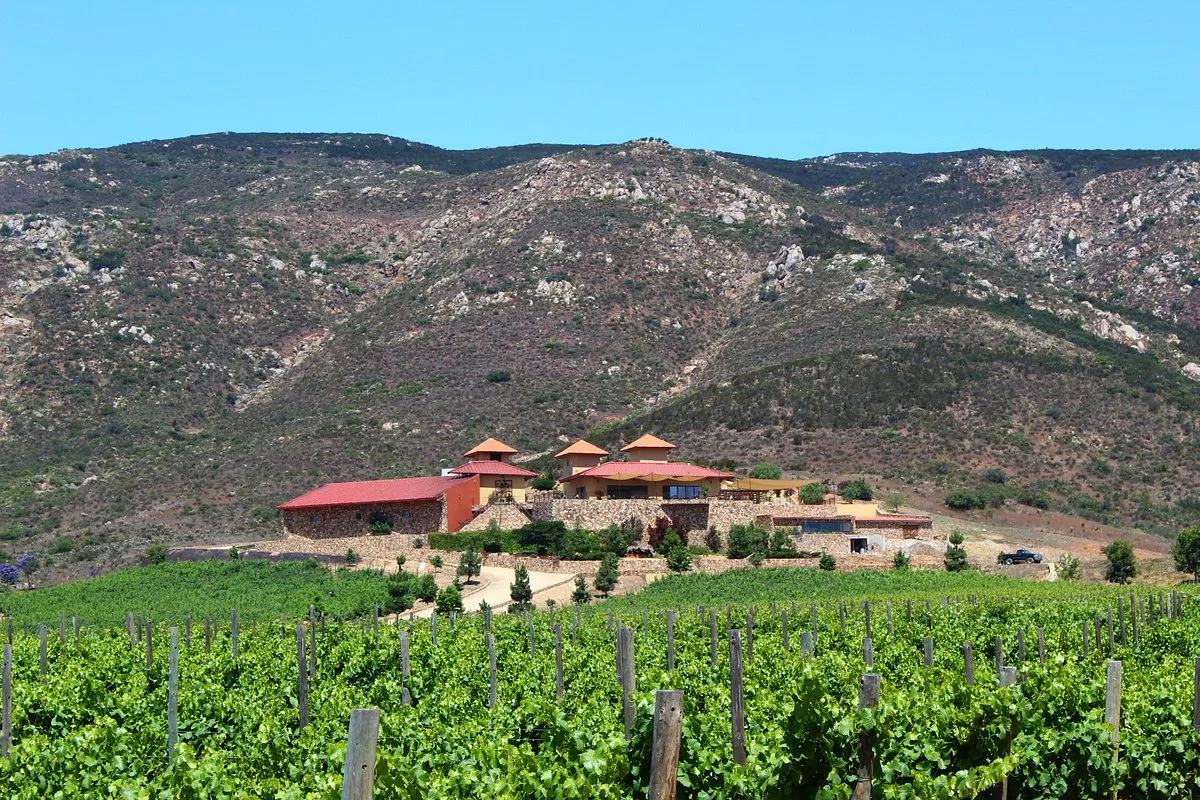 Vista de Las Nubes Bodegas y Viñedos