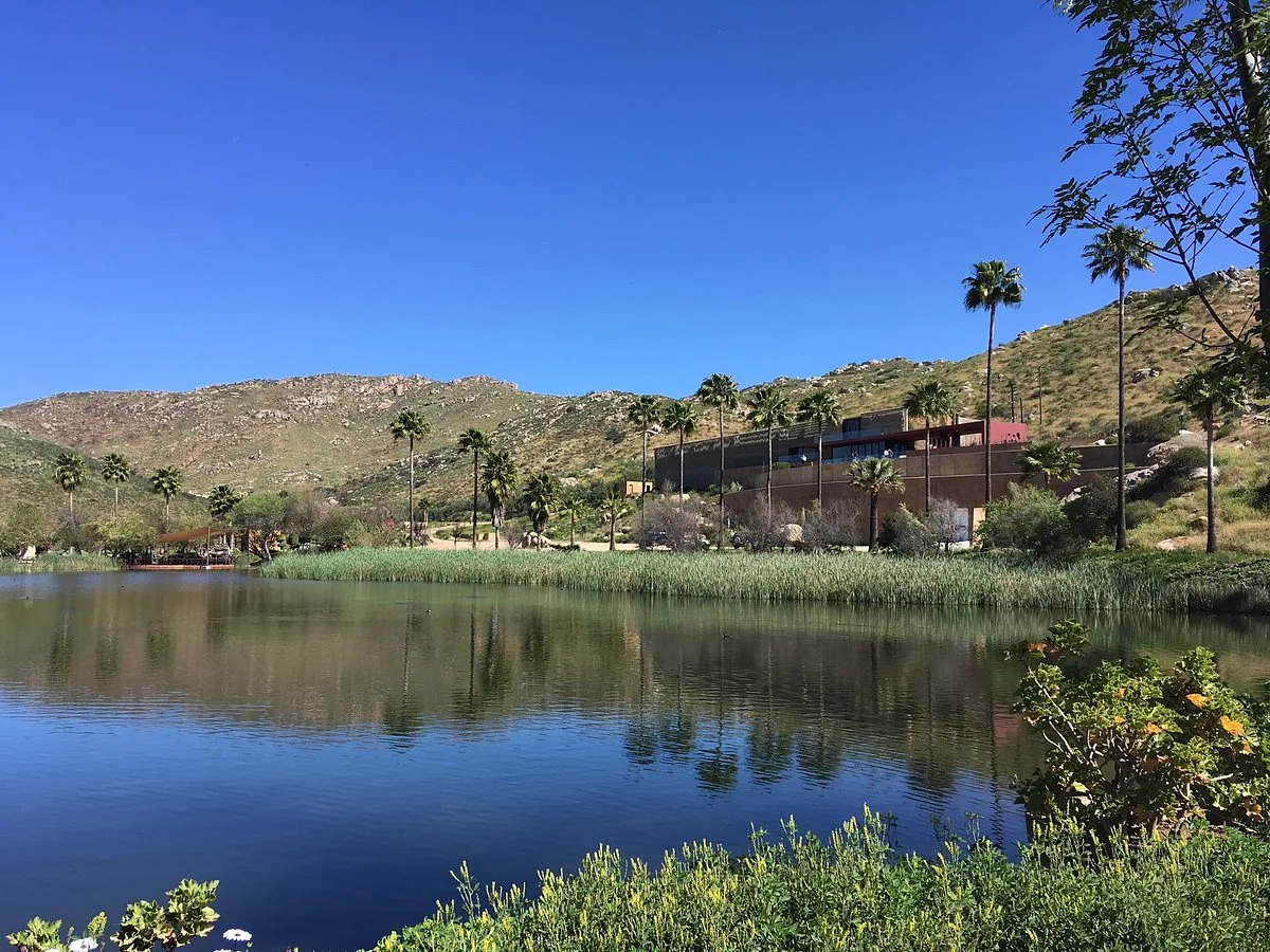 Vista de Monte Xanic