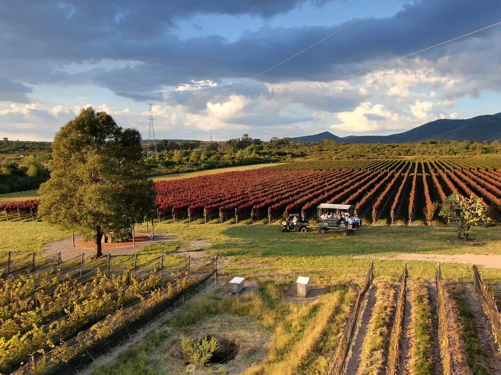 Vista de Tierra De Luz Hacienda Vinícola