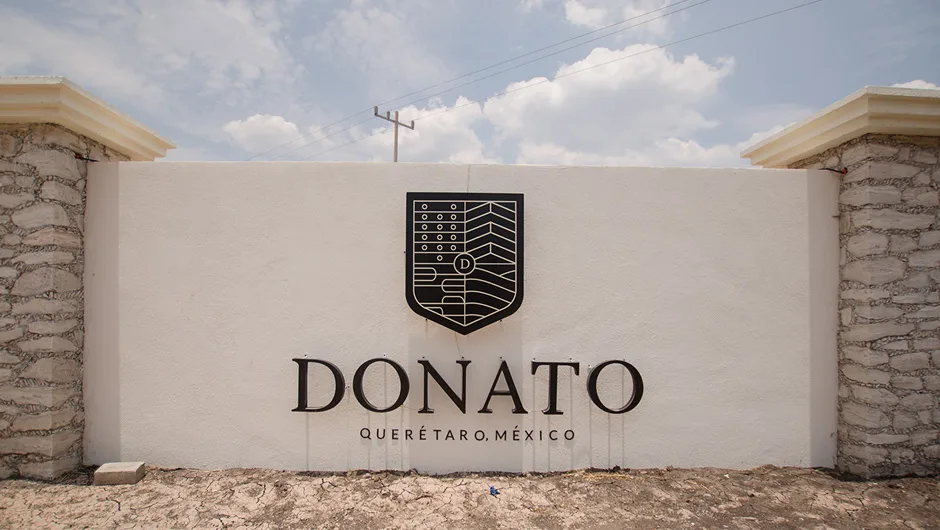 Vista de Viñedos Donato