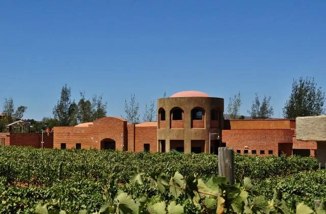 Vista de Vinisterra Vitivinicola