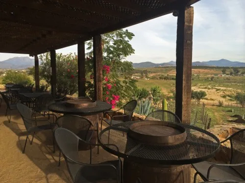 Vista de Vinos Pijoan