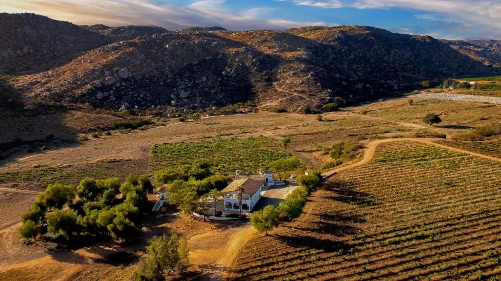 Vista de Casa Luna Viñedo