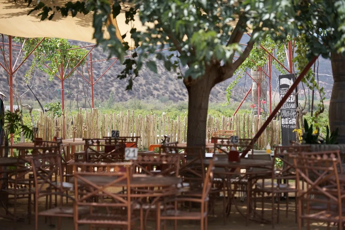 Terraza de restaurante con mesas de madera bajo un árbol en el Valle de Guadalupe.