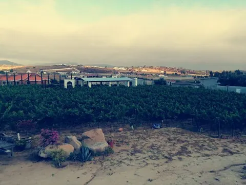 Vista de Rey de 3