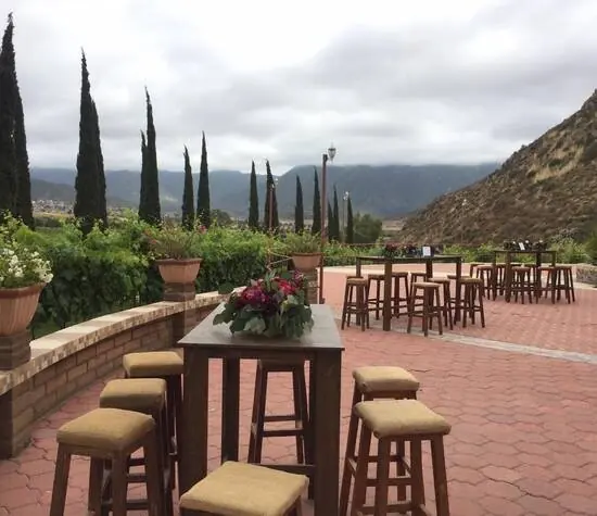 San Cosme Viñedos: terraza de ladrillo con periqueras, cipreses y cerros
