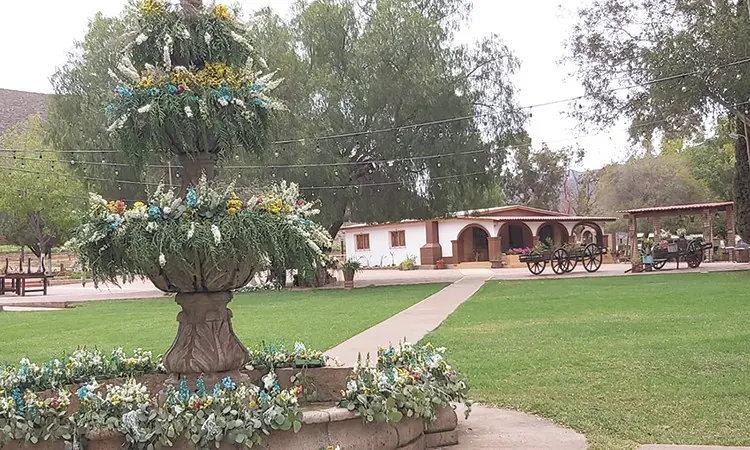 Vista de San Cosme Viñedos
