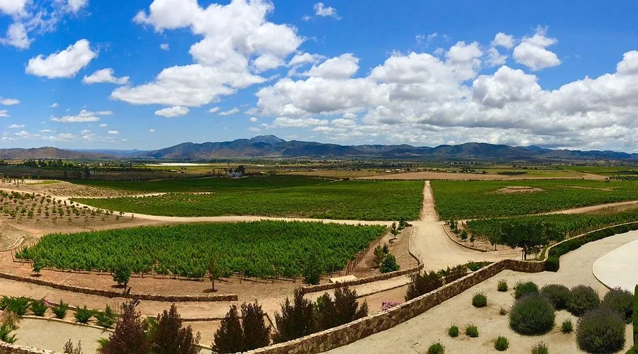 Vista de The Wine Route