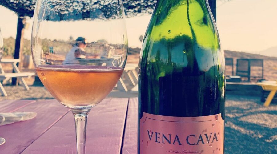 Explorando la Clasificación de Vinos Espumosos y nuestras recomendaciones en México.