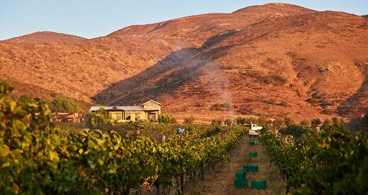 Bodegas F. Rubio