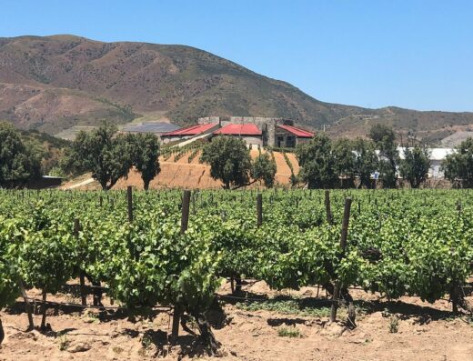 Bodegas de Santo Tomás