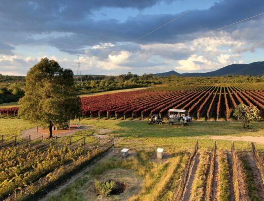 Tierra De Luz Hacienda Vinícola