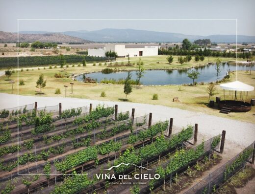 Viña del Cielo
